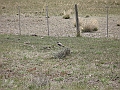 Patagonie 160
